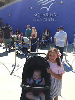 Our Day at the Aquarium of the Pacific